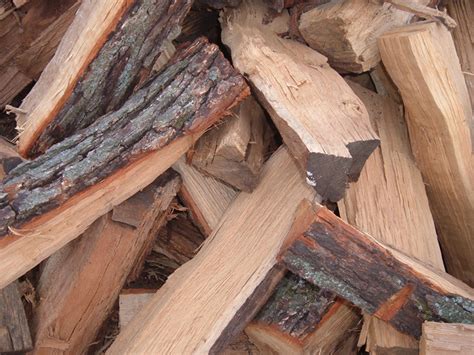 6 Of The Best Types Of Firewood To Burn In Campfires