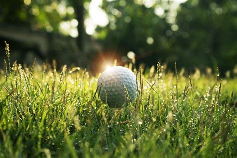 Golf Ball On Green Grass In Beautiful Golf Course At Sunset Background