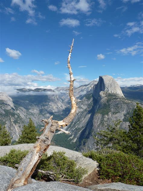 Yosemite National Park | Yosemite national park, Yosemite national, National parks