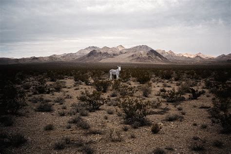 Extraordinary Landscape Photography Of The Mojave Desert Plain Magazine
