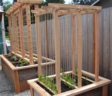 Raised Bed Gardening With Ropetwine Trellis For Climbing Beans And