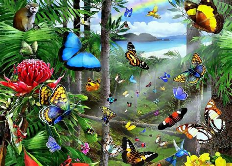 Butterflies In The Rainforest