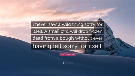 Until they're strong enough to run into the woods. D. H. Lawrence Quote: "I never saw a wild thing sorry for ...