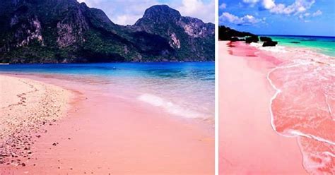 Two Amazing Pink Sand Beaches In The Philippines Pink Sand Beach