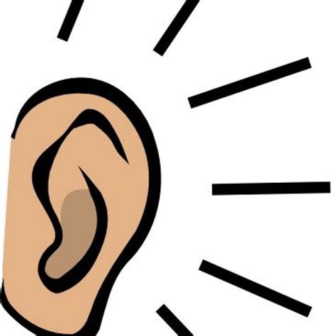 Ear Clipart At Getdrawings Free Download