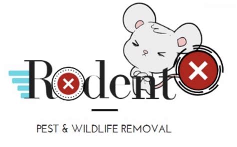 Wildlife Removal In Cleveland Rodent X
