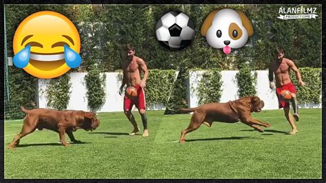 Indeed, the barcelona star was comfortably able to pose for a quick instagram portrait with the dog. Lionel Messi playing football with his dog ⚽🐶 - YouTube