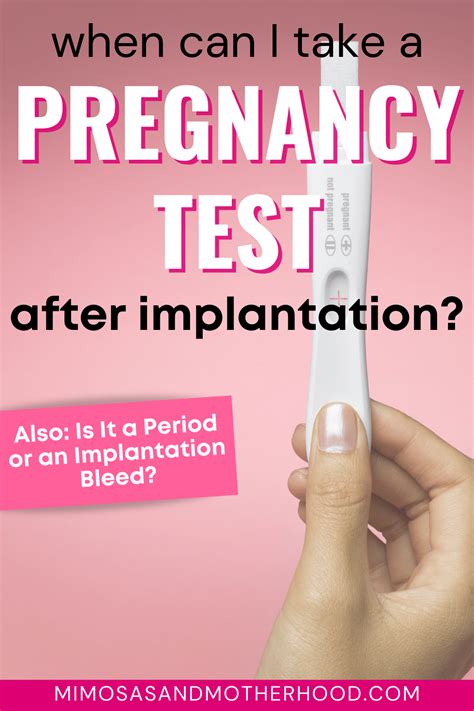 How Long After Implantation Can You Test For Pregnancy Mimosas