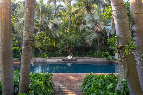 Freds Garden Tropical Landscape Miami By Craig Reynolds