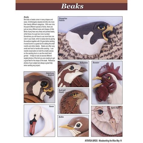 Intarsia Birds Woodworking The Wise Way A Sawdust Scroll Saw Project