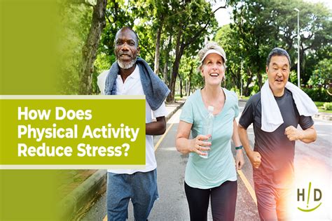 How Does Physical Activity Reduce Stress Gistfox
