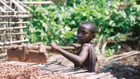 Posted at 0:00 28 mar0:00 28 mar. Child Labour in Cocoa Industry - Article - GLBrain.com
