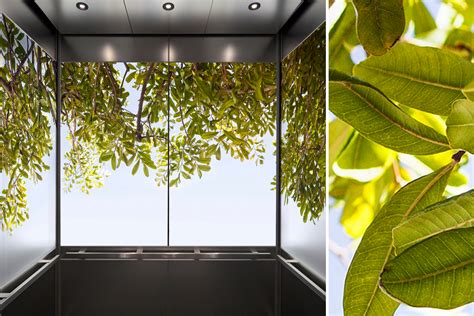 Bringing The Beauty Of Nature Into Interior Spaces