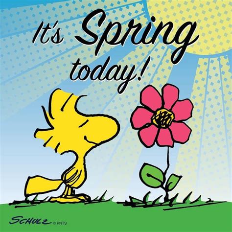 Happy First Day Of Spring Charlie Brown Und Snoopy Charlie Brown