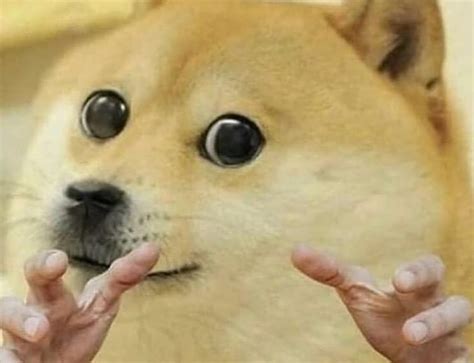 Cheems Crying Buff Doge Meme Coffee Tea Mug 11oz Latest Dank Etsy In 2020 Funny Dog Ts