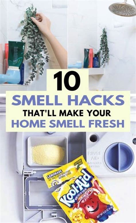 10 Brilliant Ways To Make Your Home Smell Amazing In 2020 House