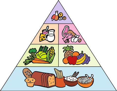 Food Pyramid Illustration Food Pyramid Transparent Background Png