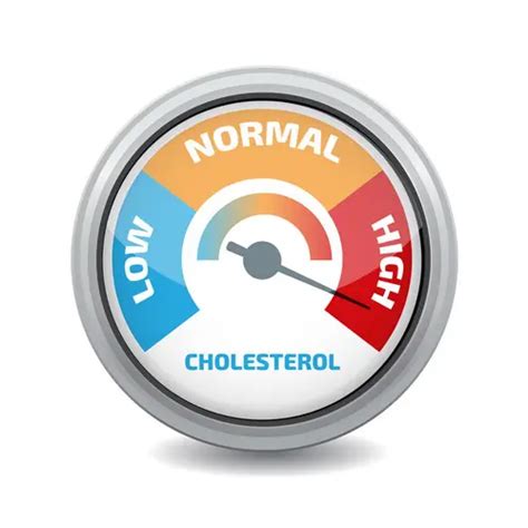 Cholesterol Myths Busted Understanding The Truth About The Fatty