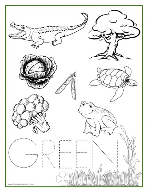 The Color Green Worksheets 99worksheets