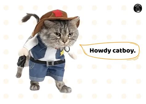 7 Cowboy Cat Costumes That Came From The Wild West Suddenly Cat Cute