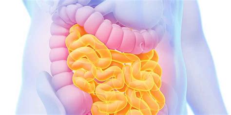 5 Signs Of Crohns Disease You Should Know Prevention