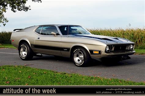 Light Pewter Silver 1973 Mach 1 Ford Mustang Fastback Mustangattitude