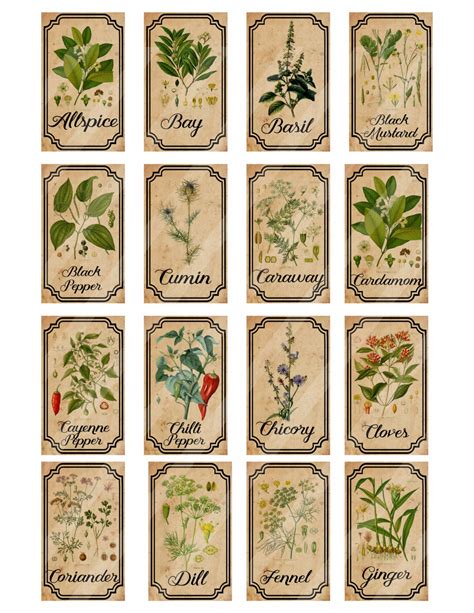 Free Printable Vintage Herb Labels Printable Templates
