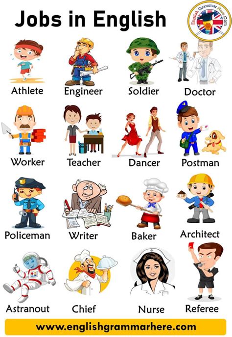 Jobs And Occupations Names With Pictures In English Jobs And