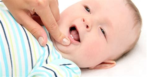 Como Lidar Com A Fase De Dentinhos Do Bebê Dicas De Alívio