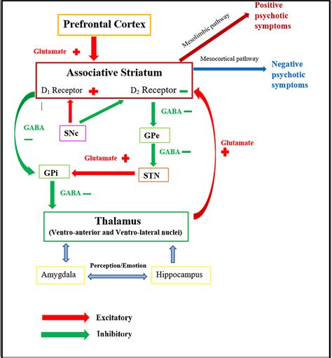 Cureus Neurobiology Of Schizophrenia A Comprehensive Review