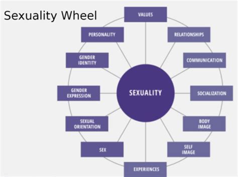 Chapter 1 Introduction To Human Sexuality Flashcards Quizlet