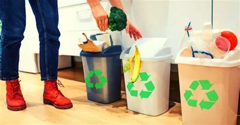 6 Quick Ways Of Disposing Home Rubbish