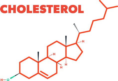 Why Cholesterol Is Too Important To Ignore Romanhood