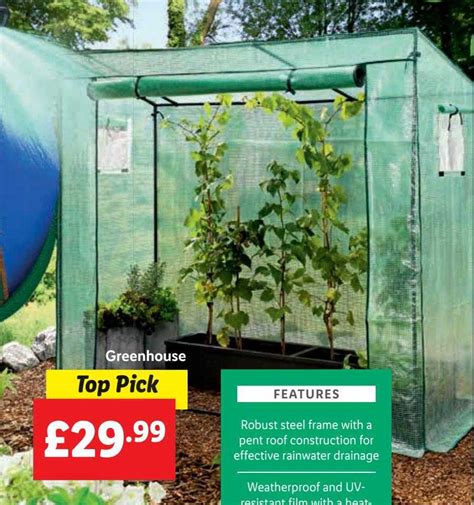 Greenhouse Offer At Lidl
