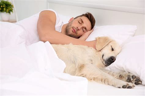 Sleeping With Pets Benefits And Risks Sleep Foundation Atelier Yuwa