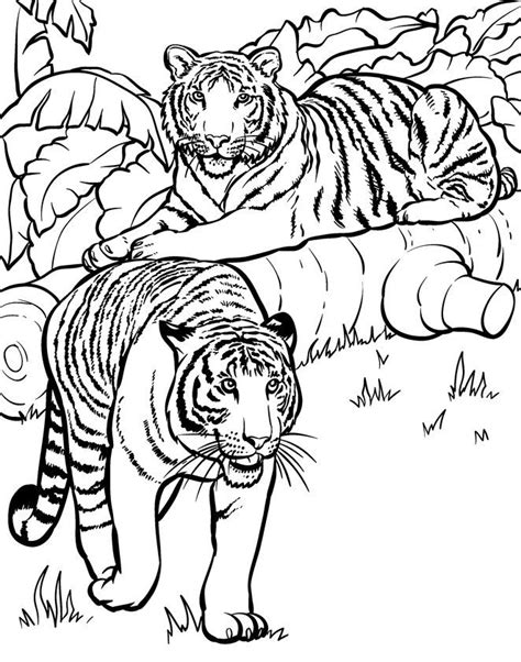 The Big Five African Animals Coloring Home