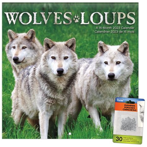 Trends International 2023 Wolves Bilingual French Wall Calendar