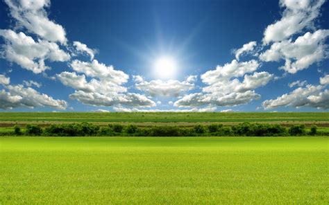 Bright Day Light Wallpapers Hd Wallpapers Id 8856