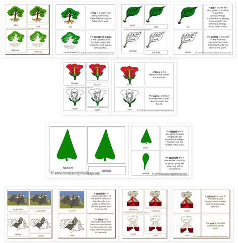 Montessori Nomenclature Cards Free Printables