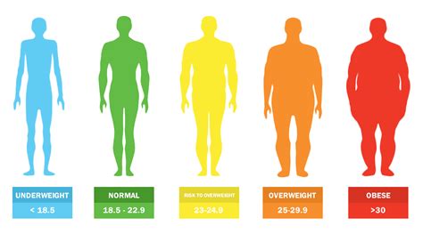 Body Mass Index BMI Nutrition Division