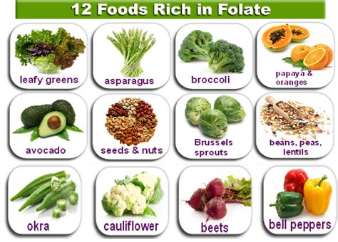 Mthfr carriers should take folic acid when pregnant. Folic Acid During Pregnancy - Top Folate Foods for ...