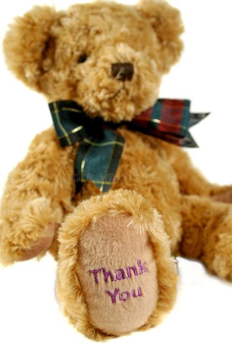 Thank You Teddy Bear Photos Free And Royalty Free Stock Photos From