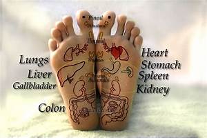 Reflexology For The Feet And Hands Dvd Video Real Bodywork