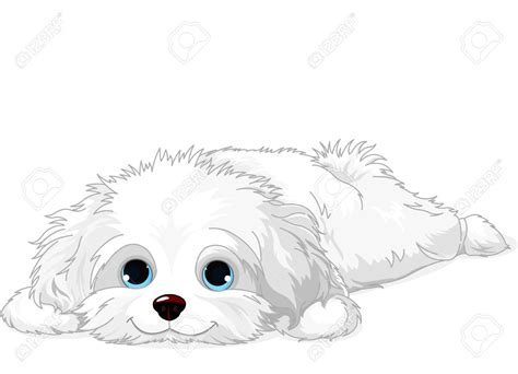 Fluffy Dog Clipart 10 Free Cliparts Download Images On Clipground 2023