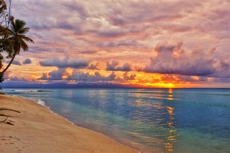 Caribbean beach sunset stock image. Image of nature, indies - 35224101