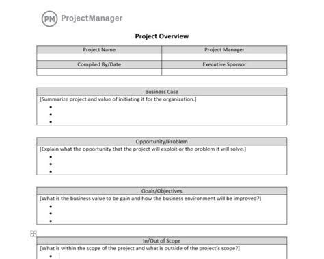 Project Overview Template For Word Free Download