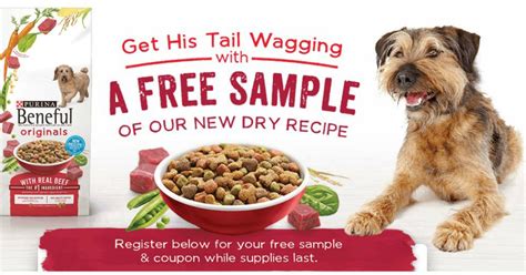 Unleash The Flavor Top 10 Dog Food Samples Free With Reviews And