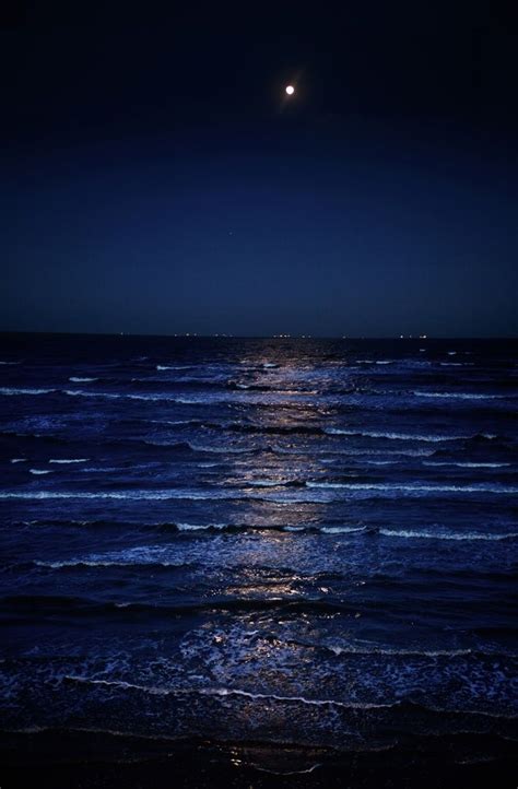 Blue Waters Sea At Night Little Plastic Horses Ocean At Night