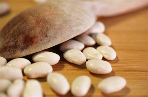 I fagioli secchi a basso costo sono confezionati con proteine e fibre, ma cucinarli è stato a lungo un evento per tutto il giorno. Dai toscani "mangia-legumi" la ricetta del passato di ...