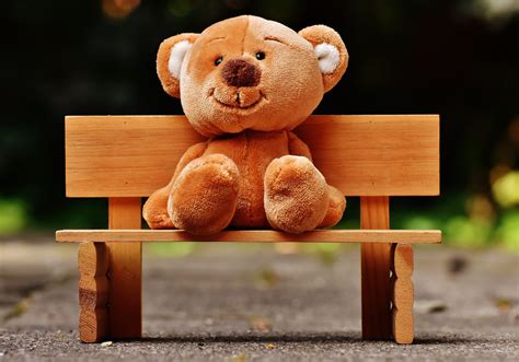 Bench Teddy Bears Nature Outdoors Road Wallpapers Hd Desktop And